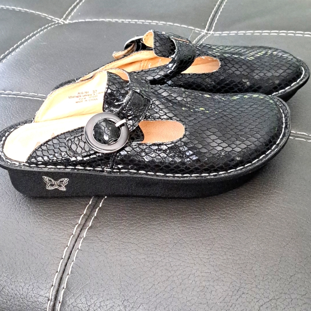 New womens Alegria shoes